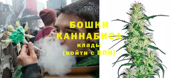 PSILOCYBIN Магас