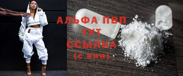 PSILOCYBIN Магас