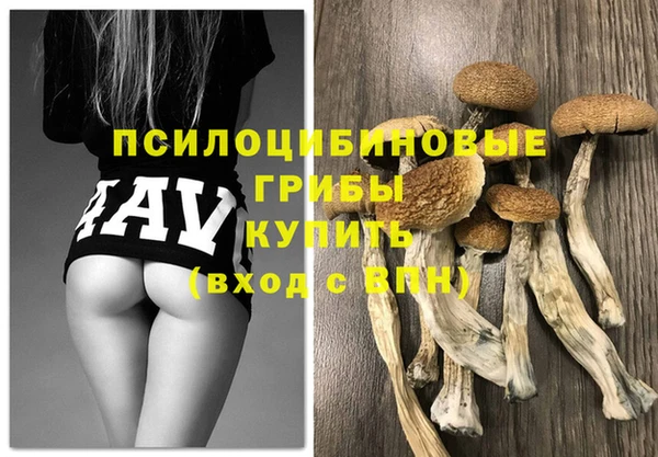 винт Абинск
